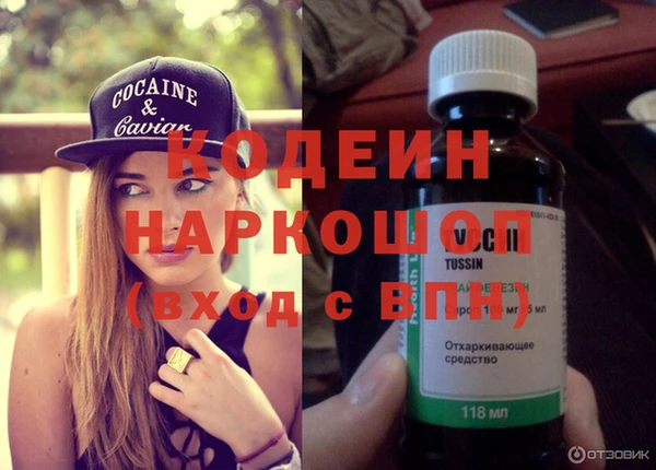 молекула духа Ладушкин