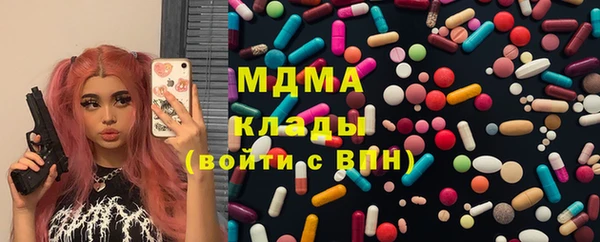 молекула духа Ладушкин