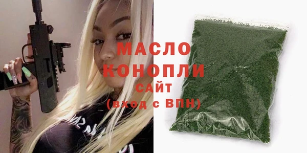 молекула духа Ладушкин