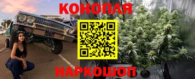 ECSTASY Волгодонск