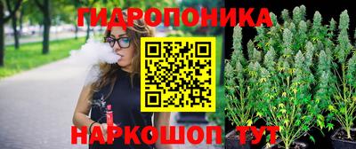 трава Бийск