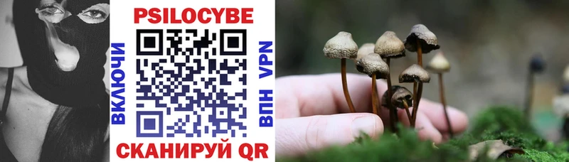 сколько стоит  это состав  Галлюциногенные грибы GOLDEN TEACHER  Волгодонск 