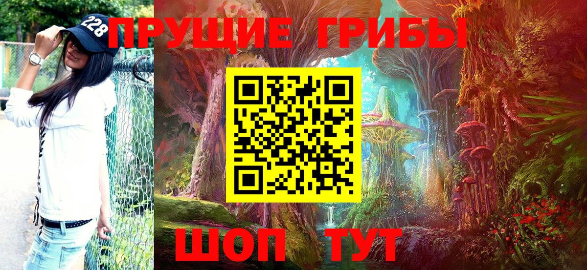 Галлюциногенные грибы MAGIC MUSHROOMS  Псилоцибиновые грибы Psilocybe  Волгодонск 