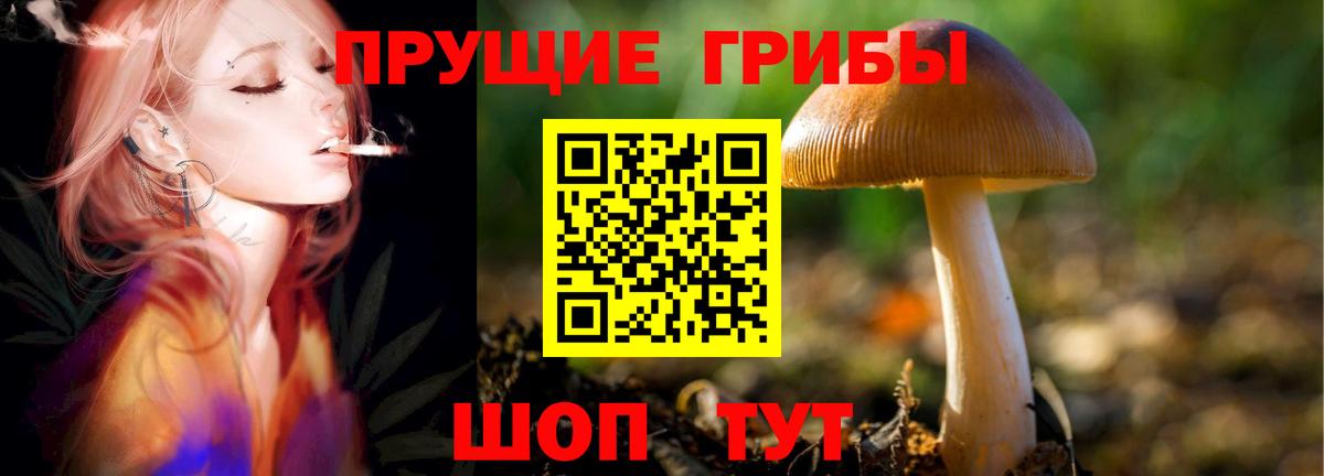 Галлюциногенные грибы мицелий  Галлюциногенные грибы Psilocybine cubensis  Вход с VPN  Волгодонск 